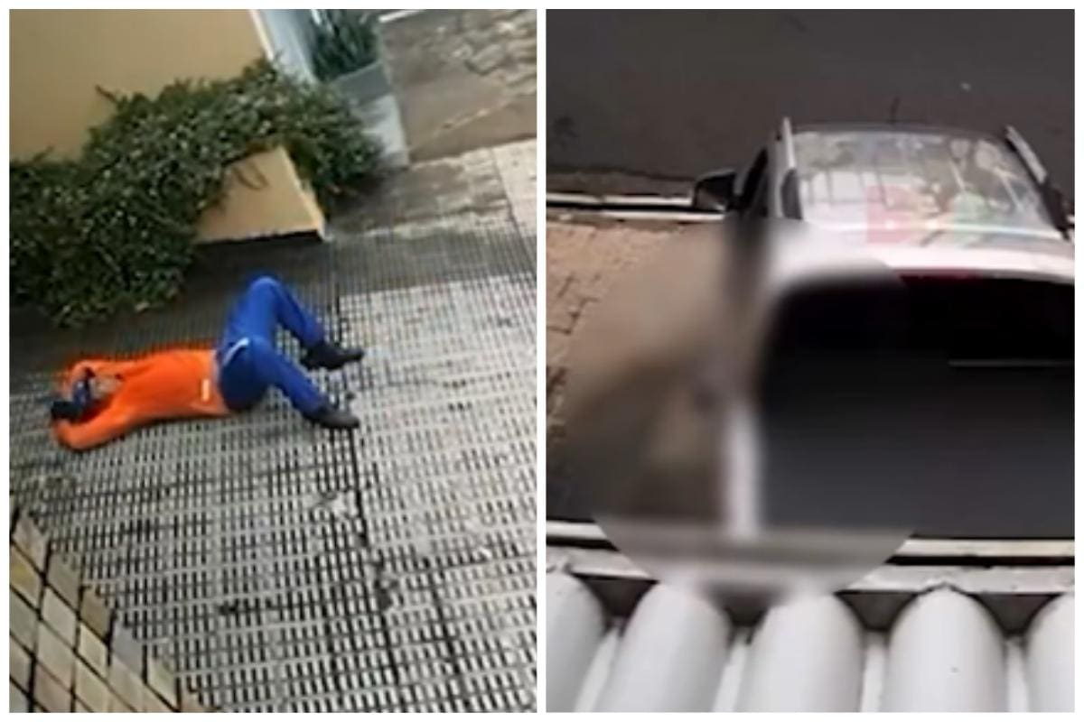Gari foi atropelado e resgatado pelos bombeiros