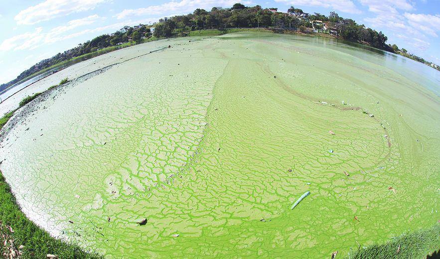Novas medições serão feitas pela prefeitura nos próximos dias para se conhecer nível atual de poluição na lagoa da Pampulha