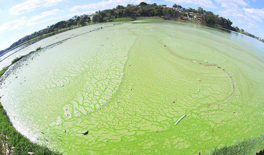 Lagoa da Pampulha