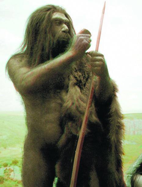 Neandertais