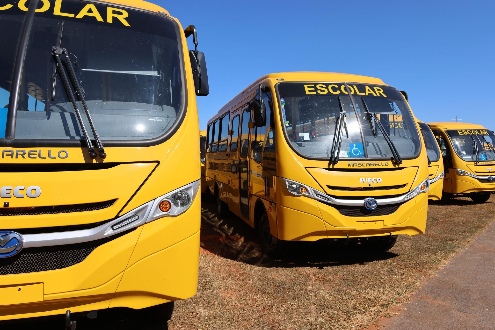 A IVECO BUS é líder no fornecimento de ônibus escolares do Caminho da Escola, com 7.100 unidades habilitadas