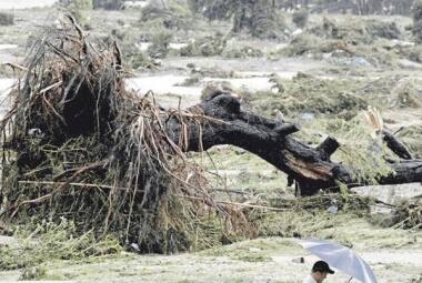 Tufão atingiu a área de Osaka, região oeste do Japão, e causou 11 mortes