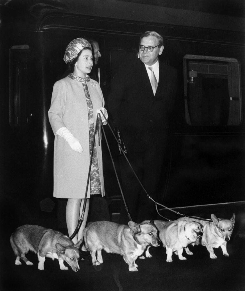 rainha elizabeth II corgis
