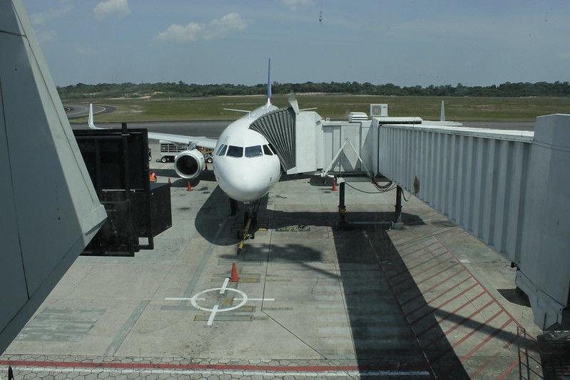 De acordo com a Anac, as companhias aéreas não são obrigadas a transportar animais de estimação e animais de assistência emocional nas cabines de avião