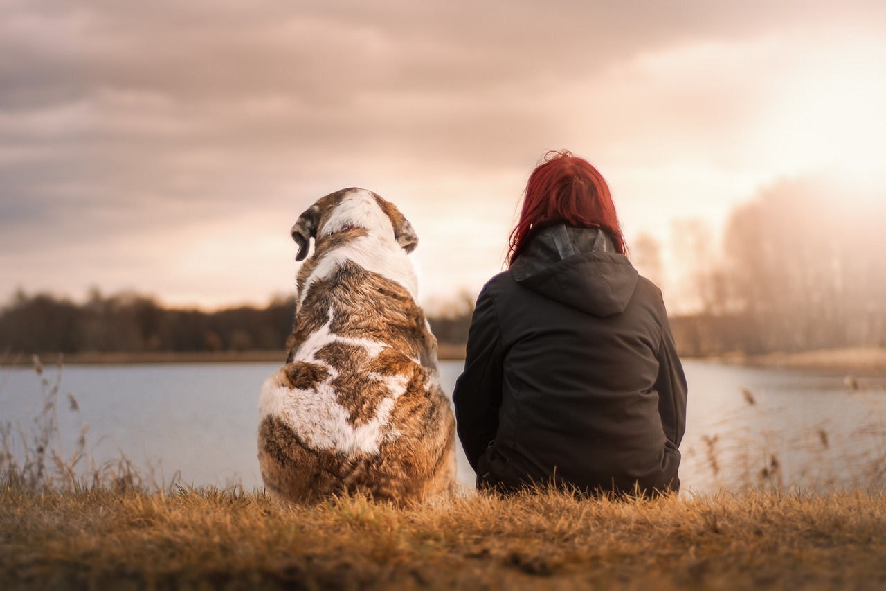 Cachorro e pessoa A falta de perspectivas de crescimento profissional e a concorrência podem provocar desequilíbrios