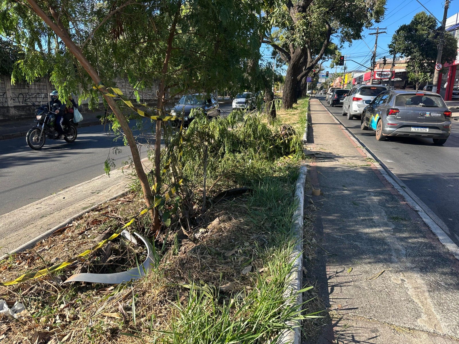 Carro desgovernado invadiu canteiro central e atropelou três pessoas