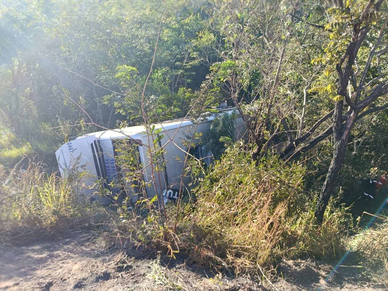 Acidente ocorreu na altura do km 292 e envolveu ônibus com 40 pessoas 