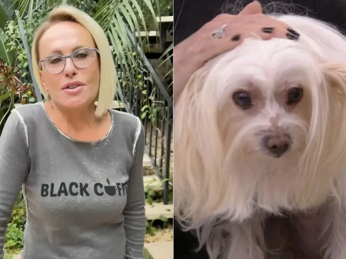 Ana Maria Braga - Reprodução/ Instagram 