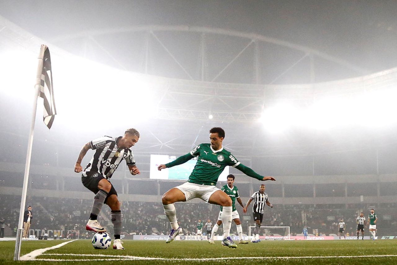 Palmeiras vence o Botafogo e sobe na tabela