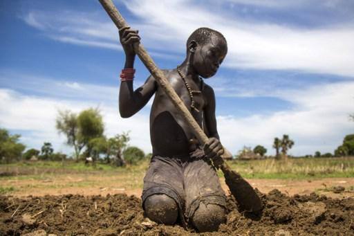 Nesta foto de arquivo Nyibol Lual, 13 anos, ajuda sua família a preparar a terra para o cultivo