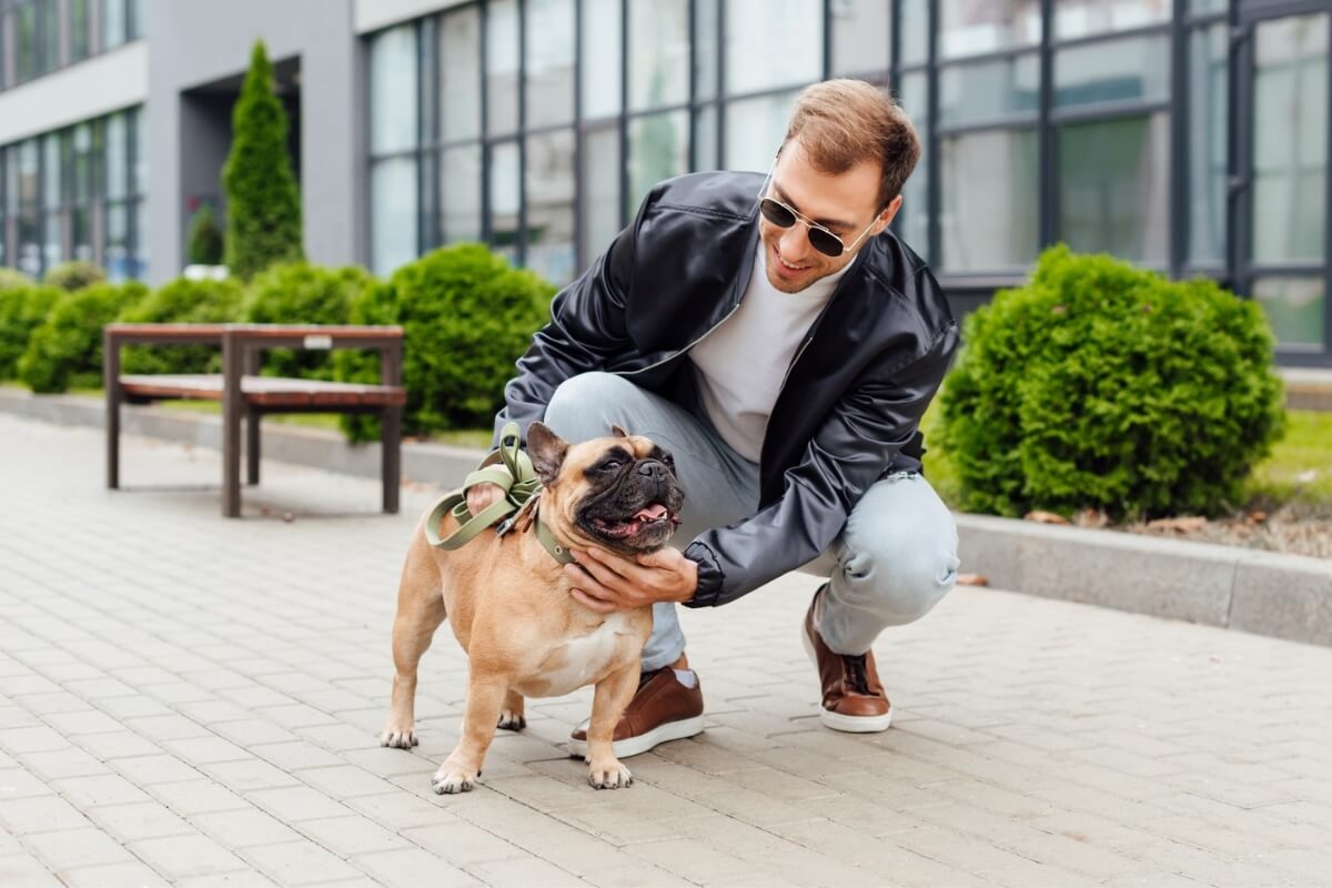 Passear com os cachorros é essencial para manter a saúde física e mental dos animais