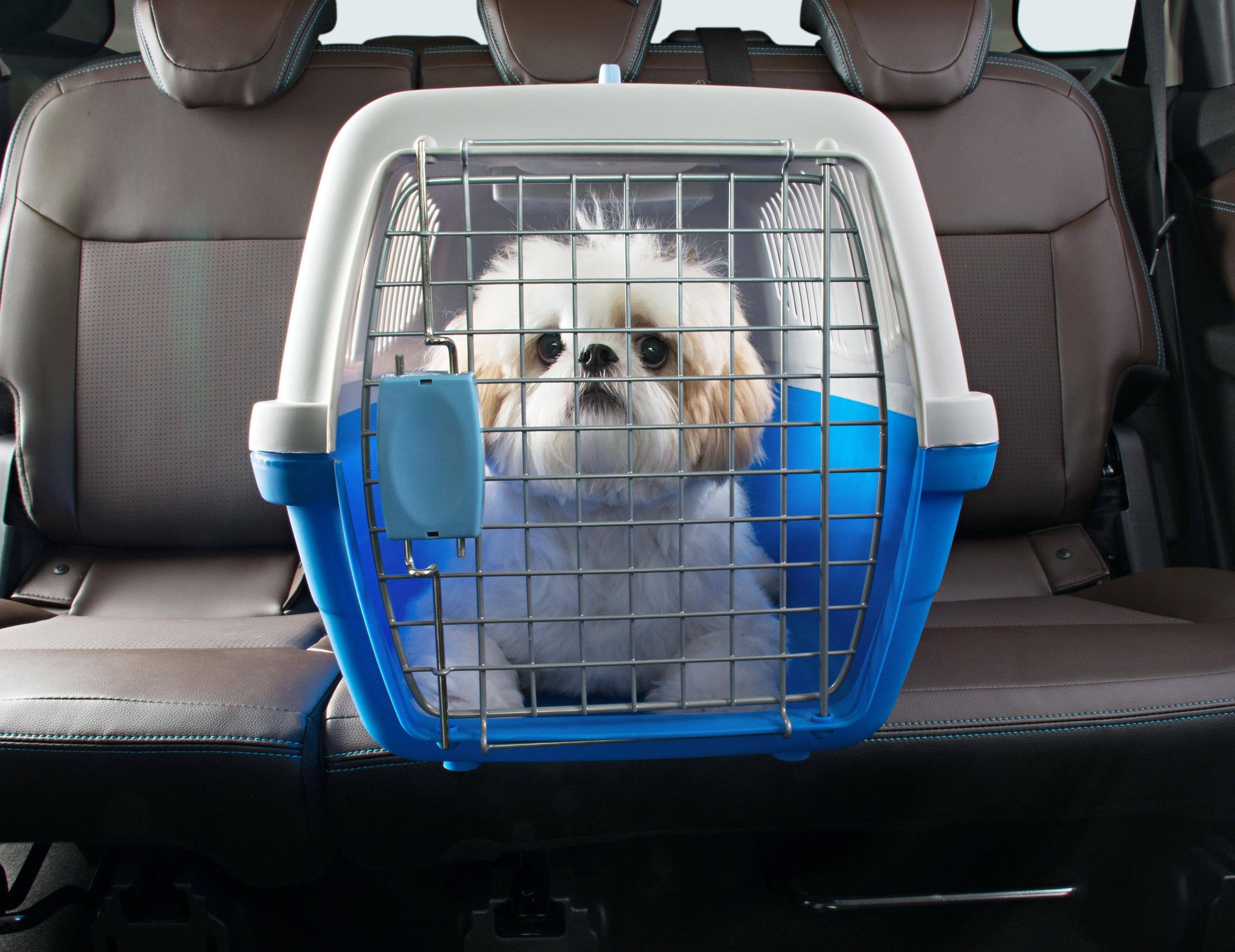 Acessórios originais Chevrolet específicos para PETs