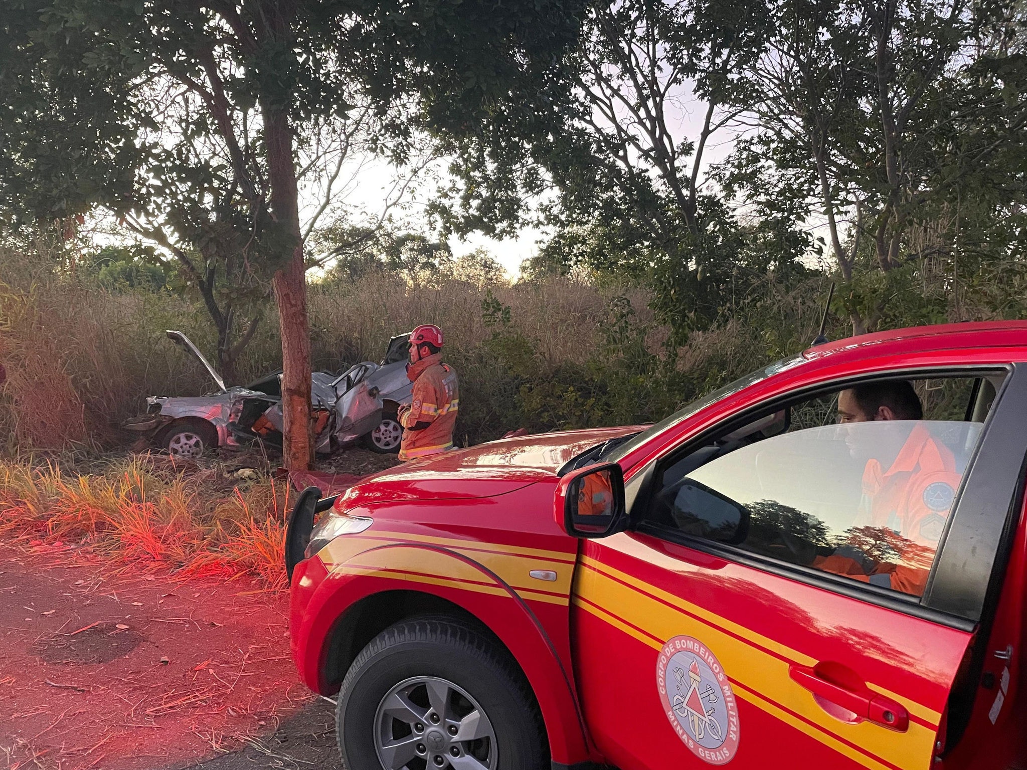 Carro ficou irreconhecível depois de atingir uma árvore