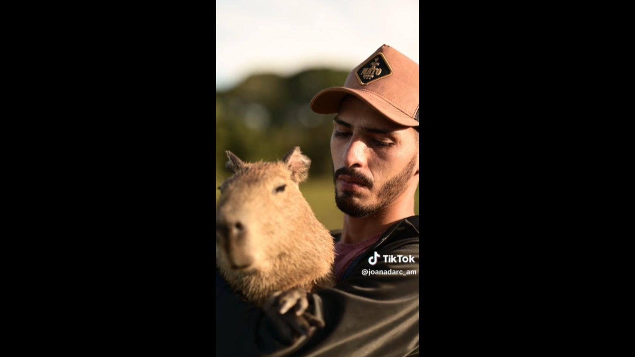 TikToker Agenor Tupinambá aguarda retorno da capivara Filó