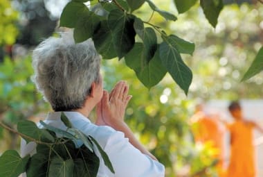 Hoje o país tem 24 milhões de pessoas com mais de 61 anos, mas até o ano de 2050 esse número poderá exceder a casa dos 66,5 milhões