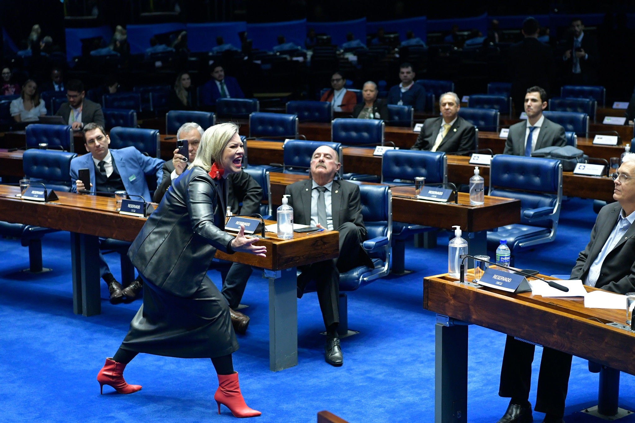 Parlamentares e convidados acompanham performance da contadora de histórias Nyedja Gennari