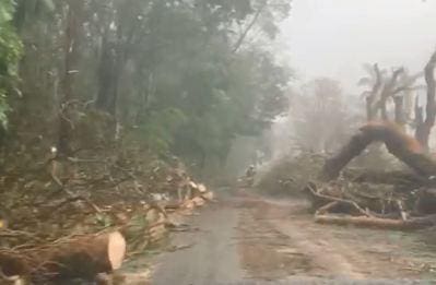Viçosa