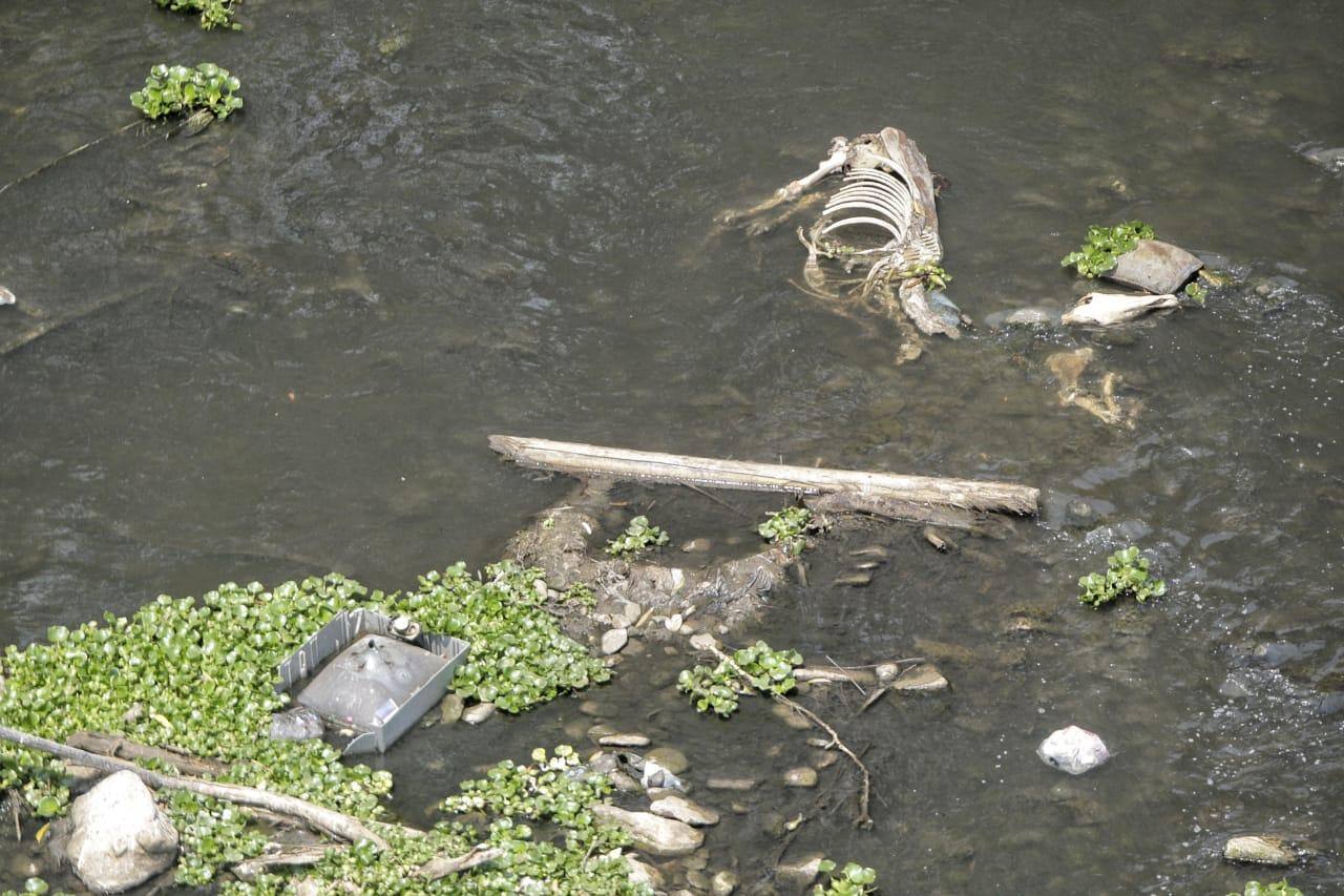 Rio das Velhas