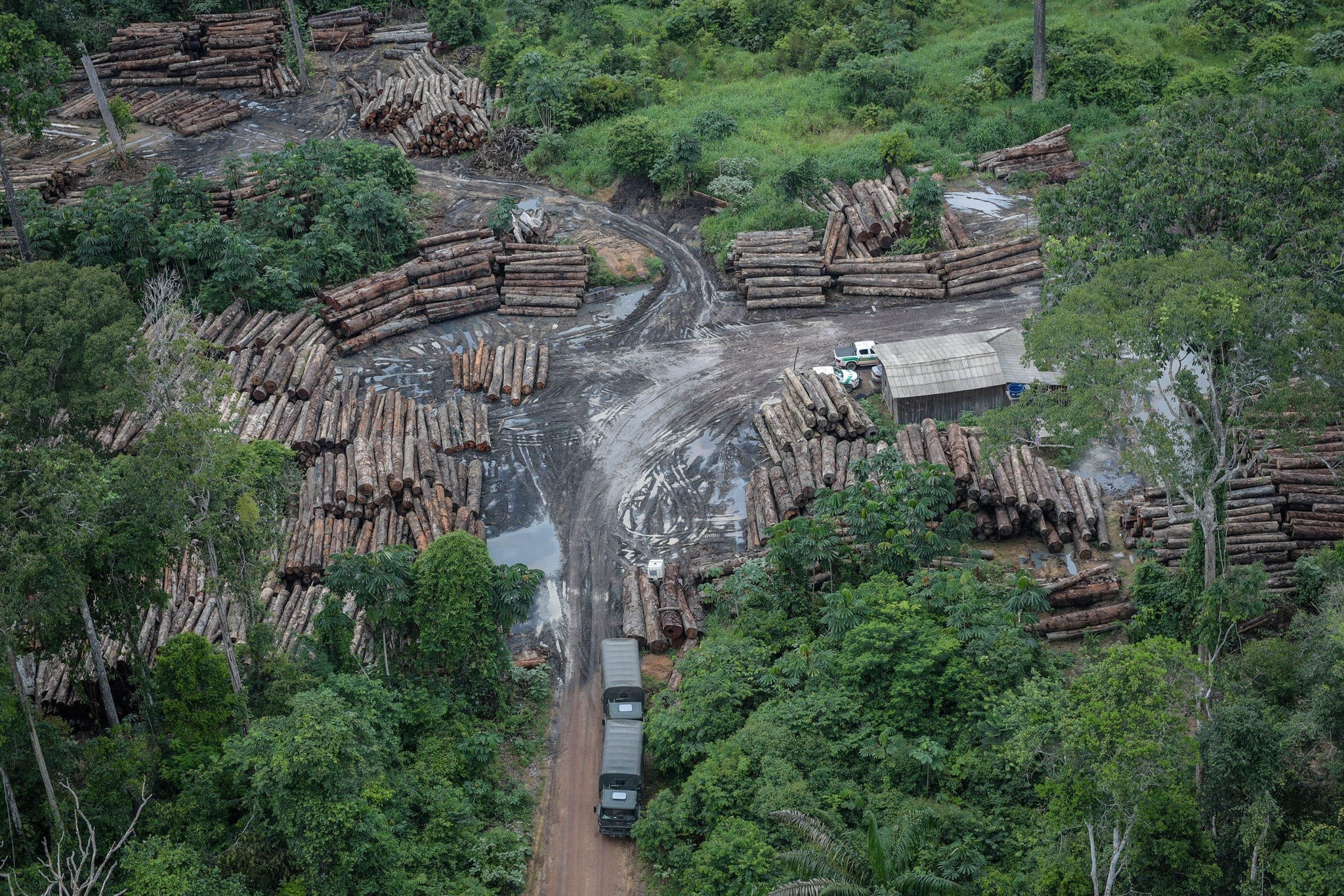 Desmatamento na Amazônia