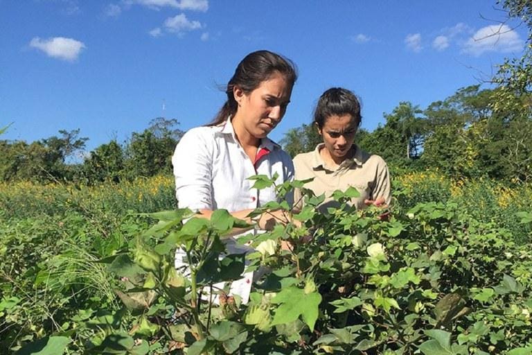 Mulheres rurais também ganham uma linha específica neste Plano Safra da Agricultura Familiar