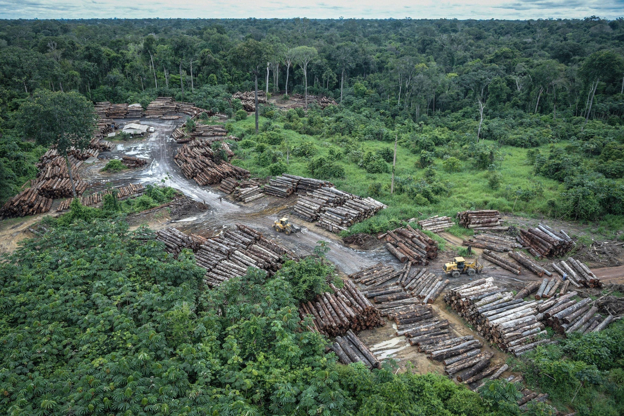 Último mês revelou aumento de 62% no desmatamento na Amazônia