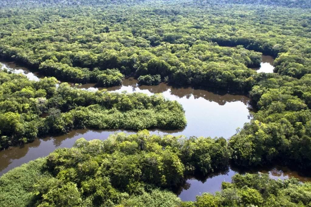 Amazônia