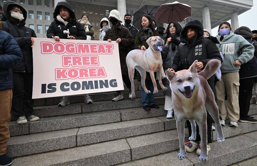 Ativistas dos direitos dos animais seguram cartazes durante um comício acolhendo o projeto de lei que proíbe o comércio de carne de cachorro na Coreia do Sul