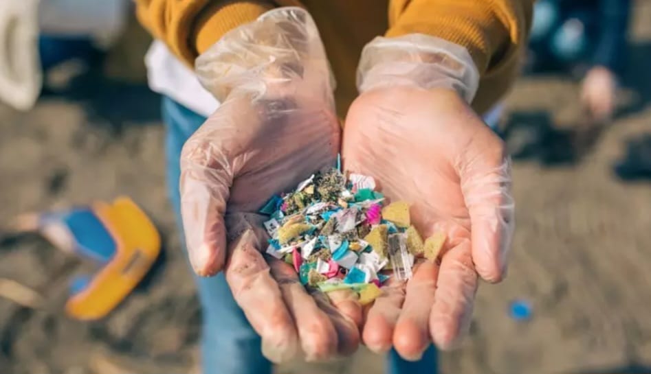 Microplásticos são ameaça para vidas marinha e humana