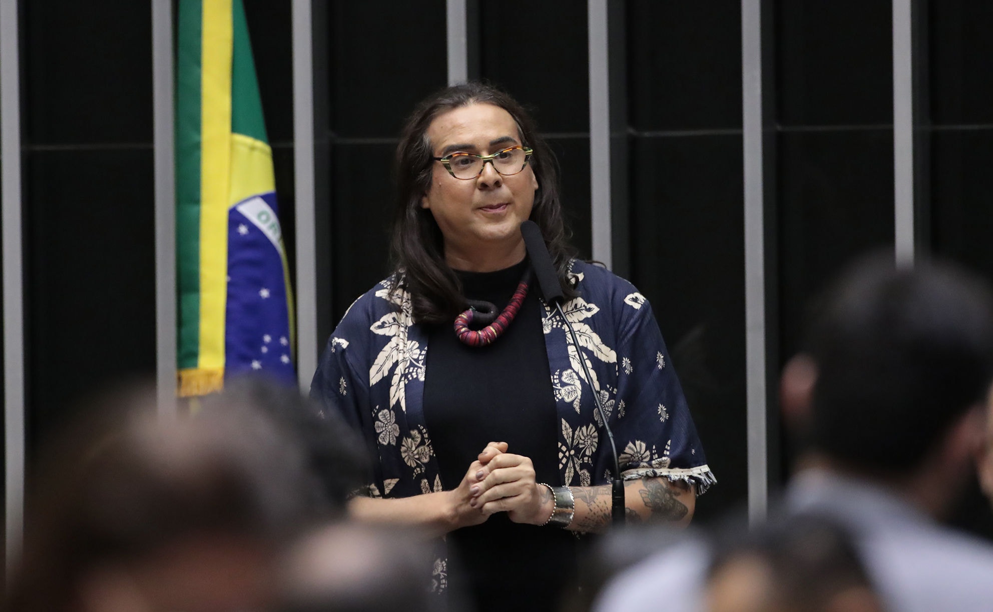 A deputada federal Duda Salabert (PDT-MG) e o ex-governador do Ceará Ciro Gomes (PDT) se alfinetam publicamente desde o ano passado