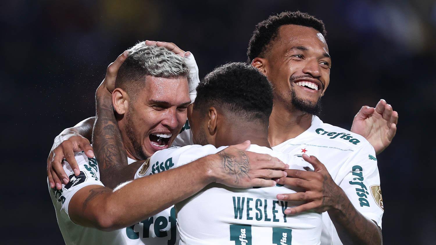 Palmeiras mat CLAjpg