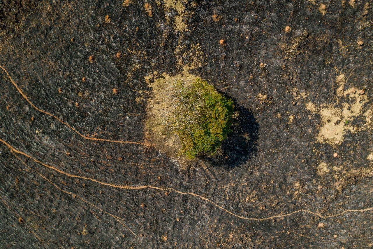 O verde da Serra da Moeda foi tomado pela cor preta