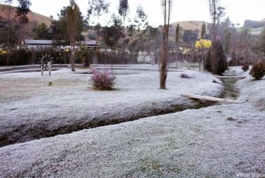 Sul de Minas tem previsão de geada para a próxima quinta-feira (30)