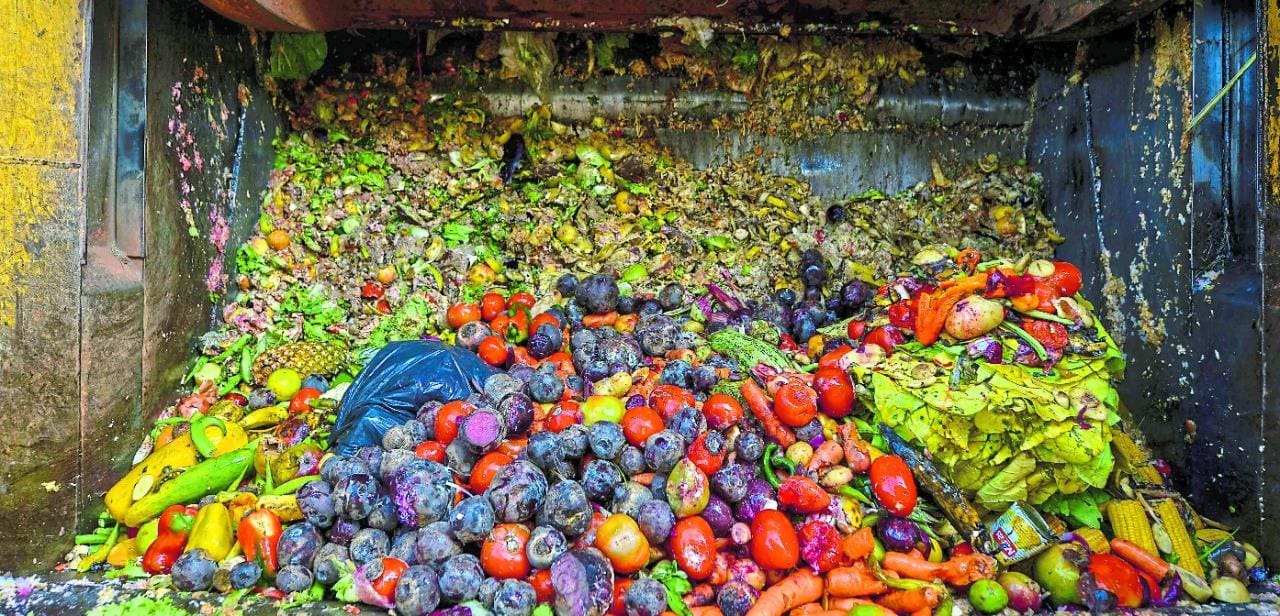 Alimentos são descartados na capital mineira; cada família brasileira desperdiça cerca de 350 g de comida a cada dia