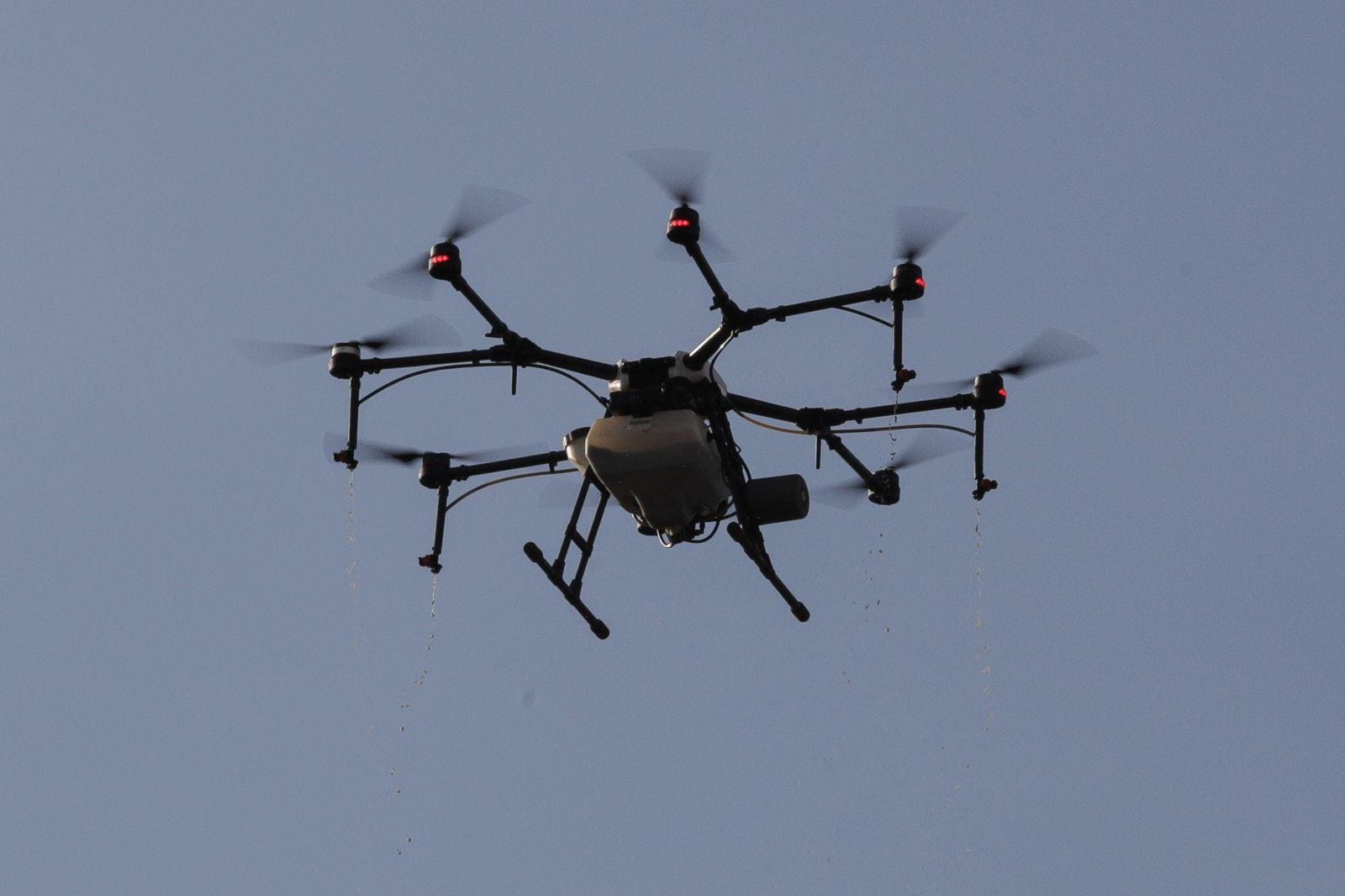 Drone