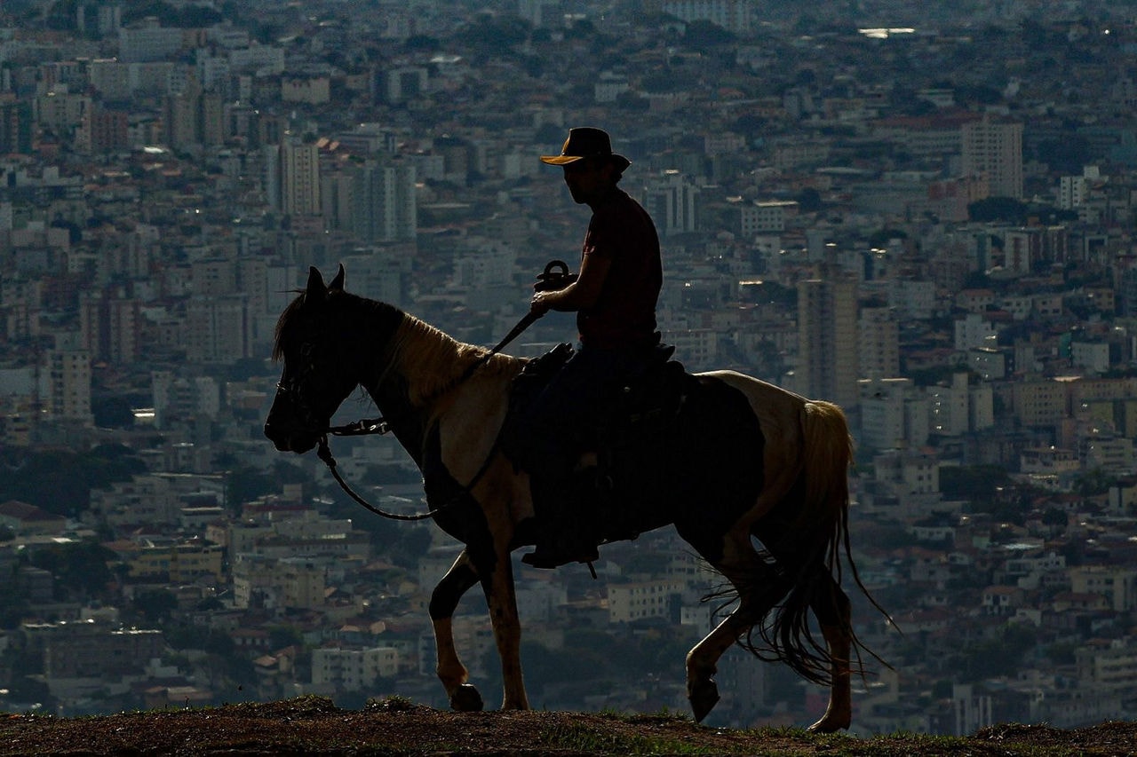 Cavaleiro é flagrado andando nas ruas de Belo Horizonte