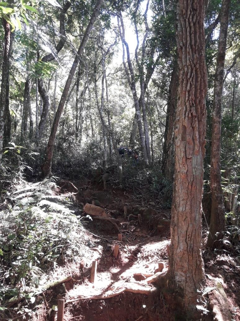 trilha