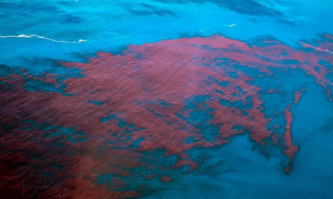 Maré vermelha atingiu o litoral de Alagoas e de Pernambuco, provocando mais de 400 casos de intoxicação