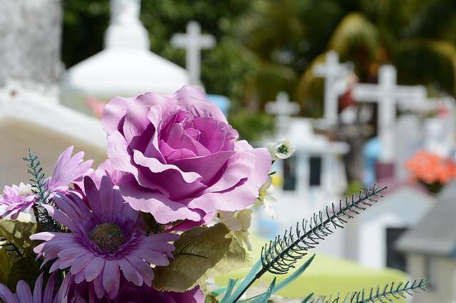 flores cemitério