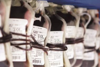 Testemunhas de Jeová têm direito de recusar transfusão de sangue em procedimento na rede pública de saúde
