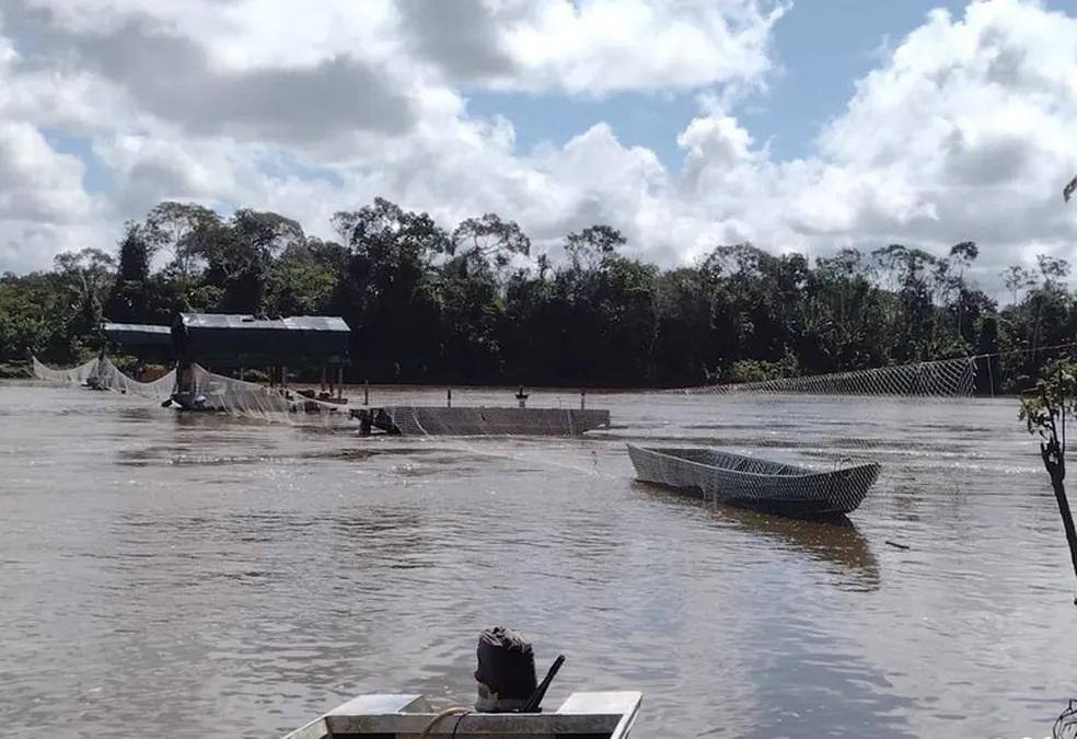 Base federal instalada há duas semanas em terra yanomami é alvo de atentado