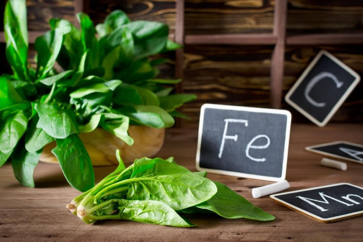 O espinafre é um vegetal rico em nutrientes importantes
