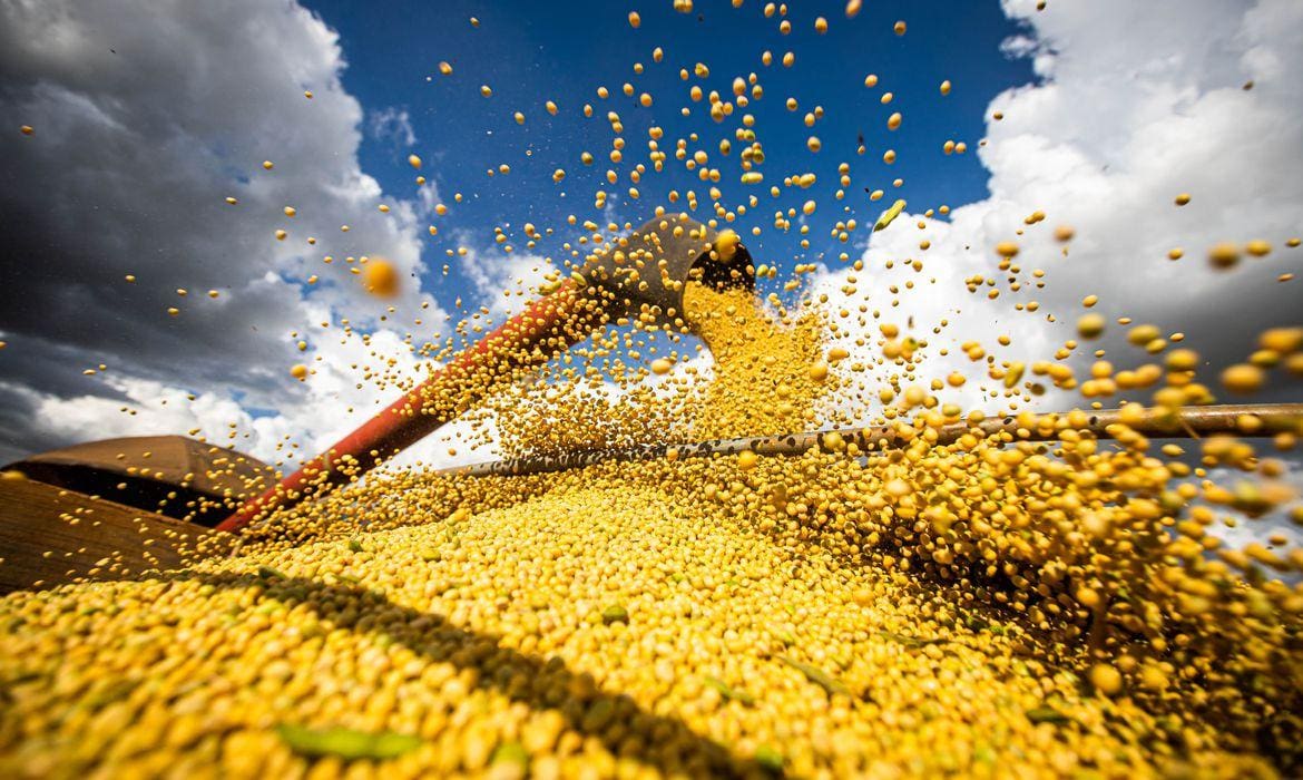 CNA diz que Brasil se tornou um grande exportador agrícola porque é altamente produtivo e competitivo
