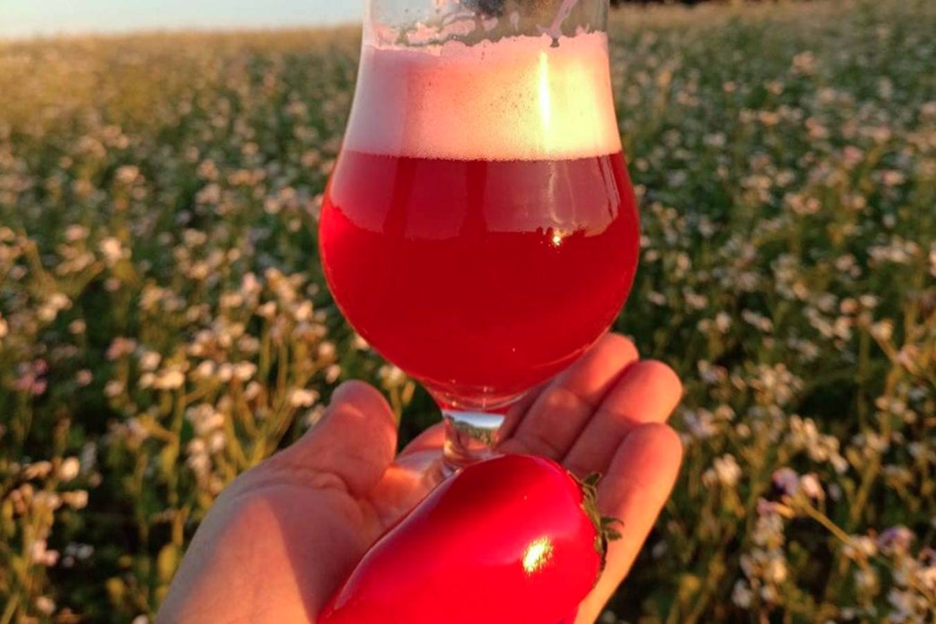 Empresário cria chope morango do amor 