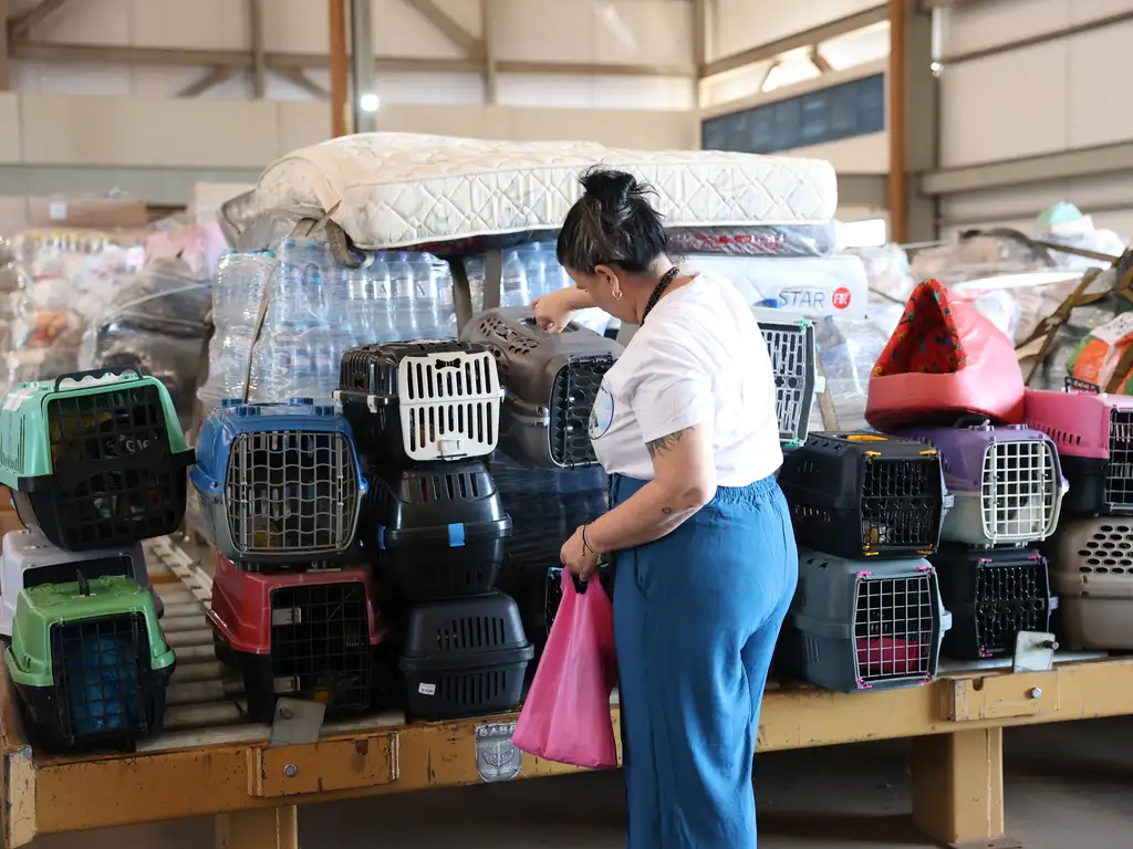 Avião da FAB levou para o Rio Grande do Sul aproximadamente 20 toneladas de ração para pets, além de caixas e outros utensílios