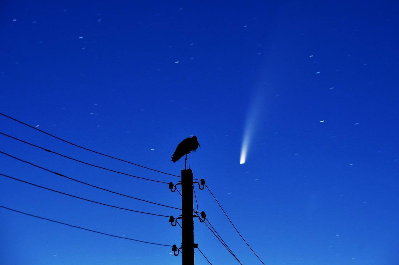 Cometa Neowise é visto no céu de Belarus