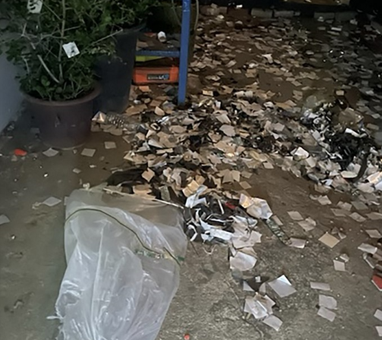 Balão caído em casa de Seul teria sido enviado pela Coreia do Norte