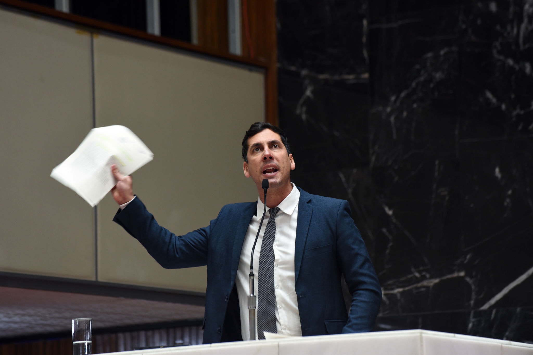 Lucas Lasmar (deputado estadual REDE/MG)
