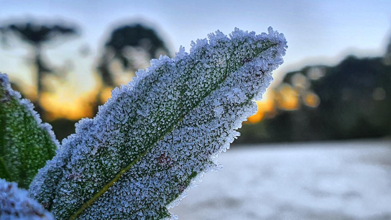 Geadas podem ocorrer em baixas temperaturas
