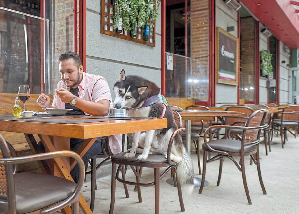 Homem e seu cachorro fazem refeição juntos em restaurante de BH
