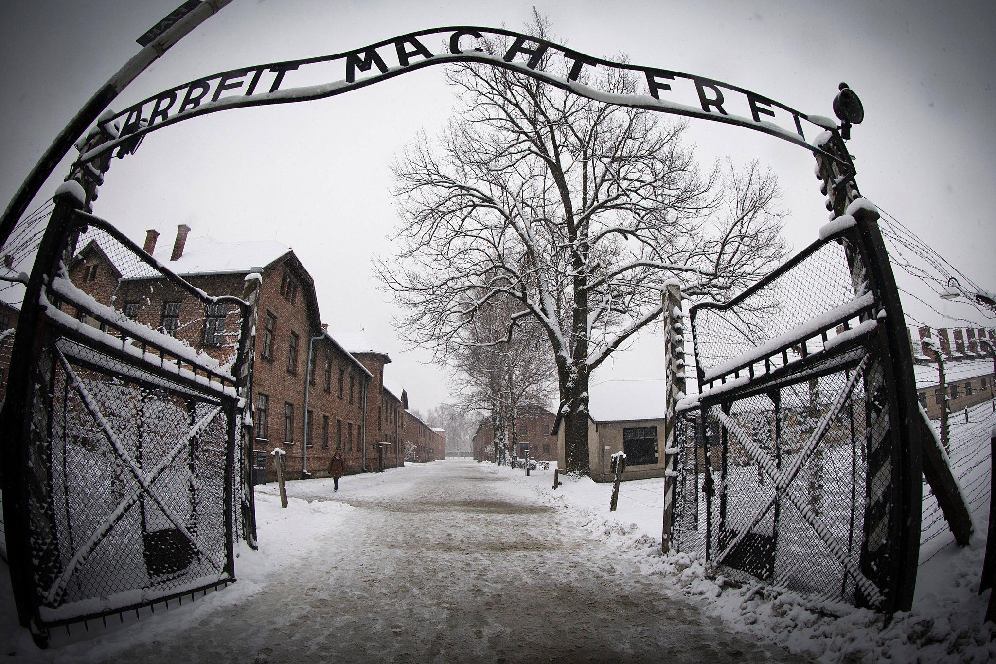 Auschwitz